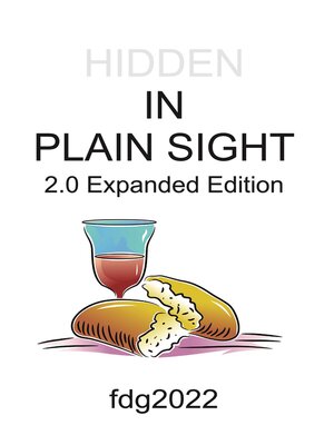 cover image of HIDDEN IN PLAIN SIGHT 2.0